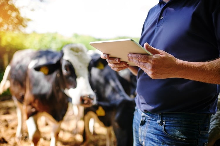 Inside Yili’s push to reinvent dairy with technology