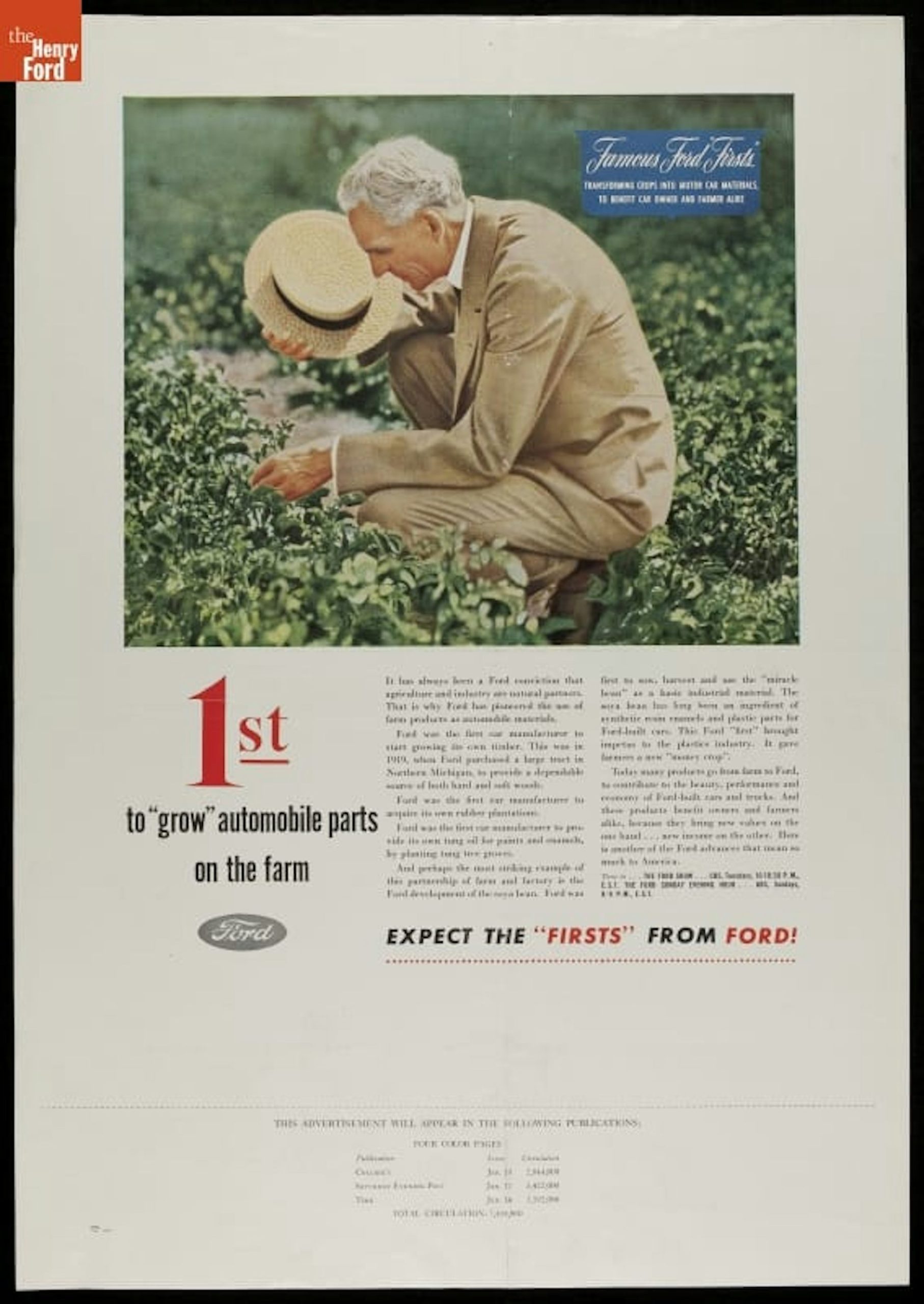 How soybeans took over the American diet – without anyone noticing