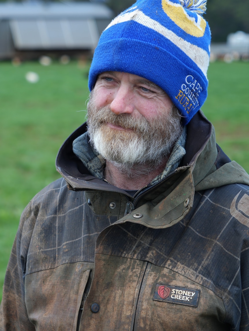 Farmers ‘very nervous’, poultry show cancelled as bird flu reaches Tasmania