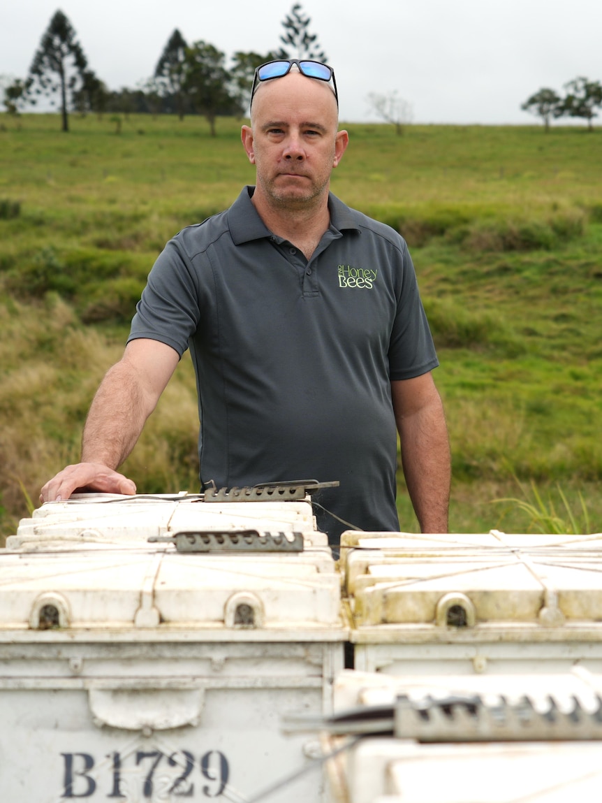 Beekeepers reeling after bees worth up to $20k stolen