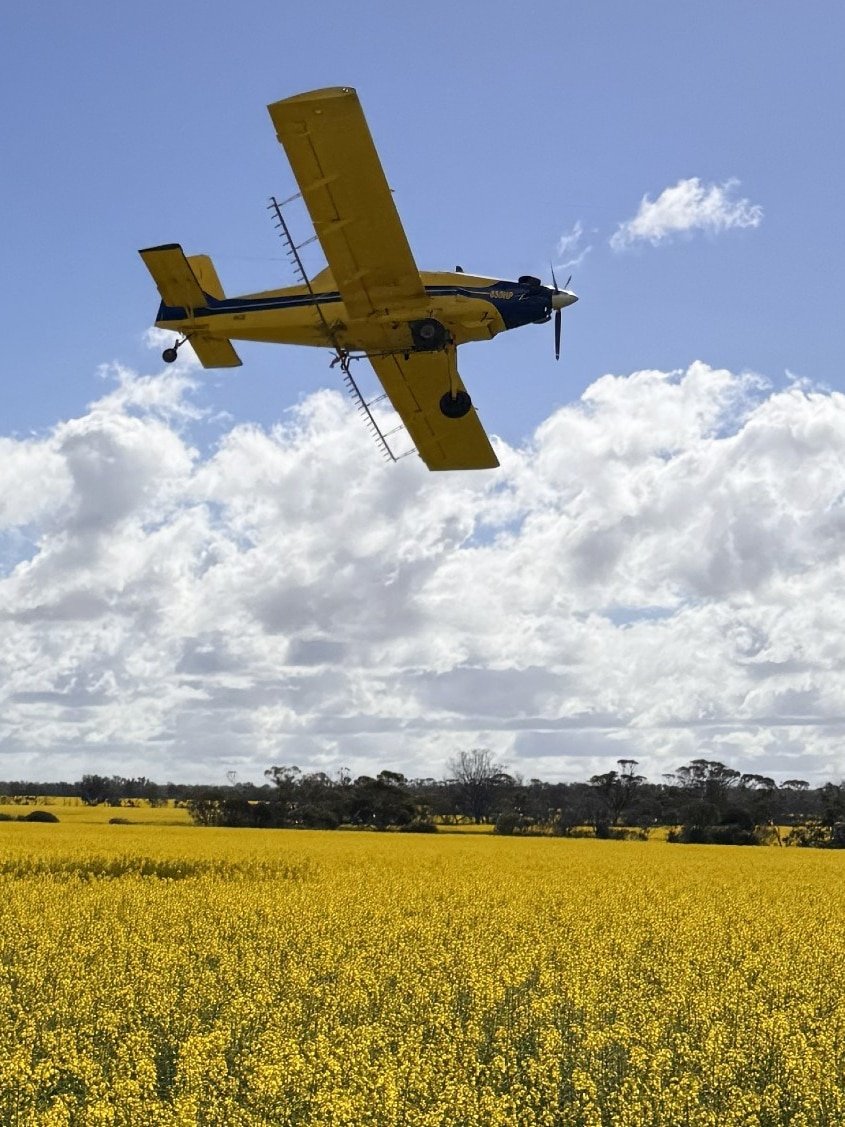 Safety fears after plane’s near miss with drone over canola crop