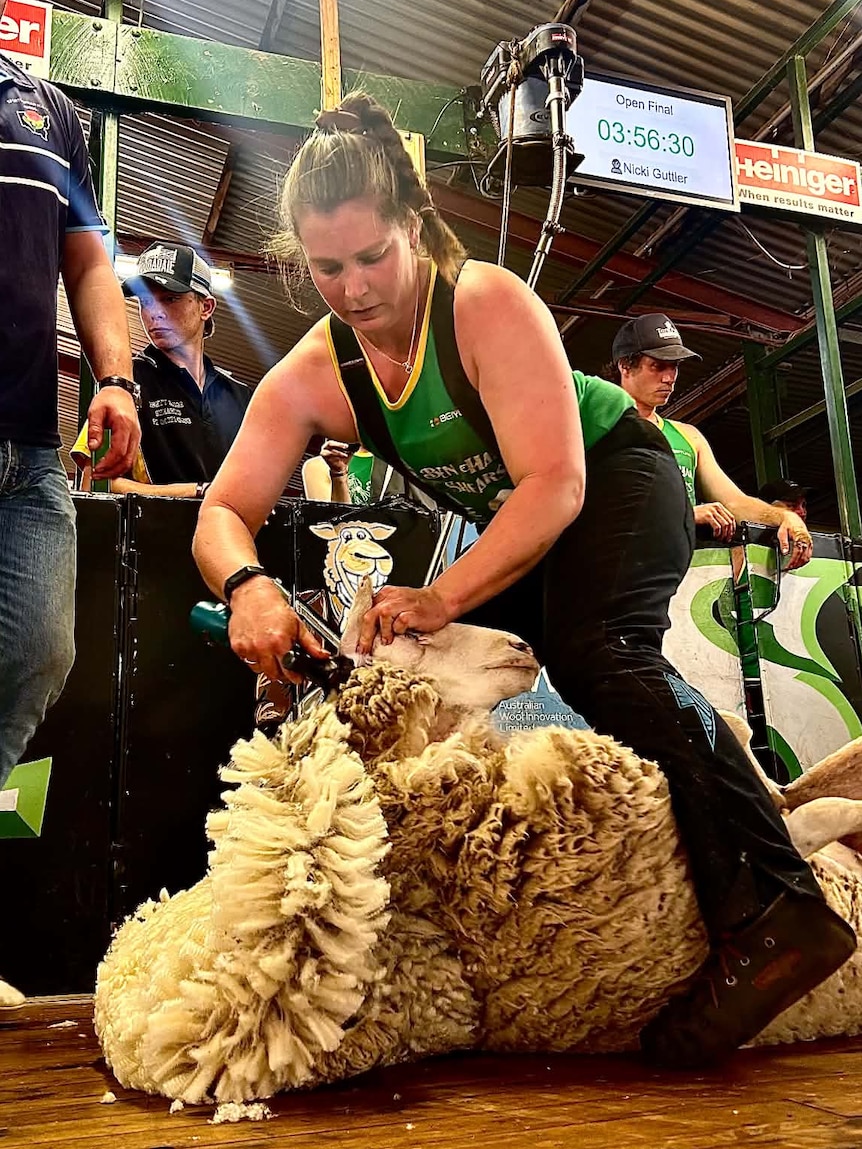 Courageous woman’s journey from back injury to shearing shed glory