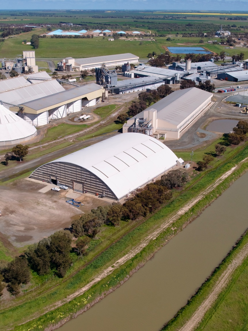 The rice industry is the ‘backbone’ of this small town, but it’s struggling