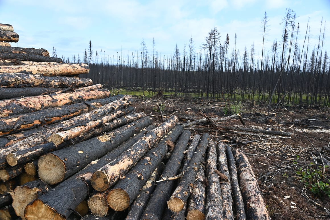 Canada seeks deforestation law carveouts as EU ties deepen