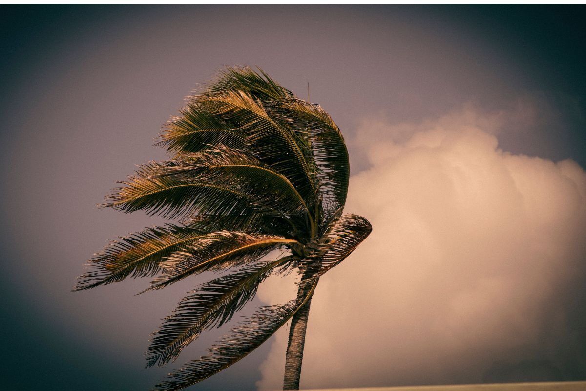 Weather: Brace for fresh to strong winds in these areas