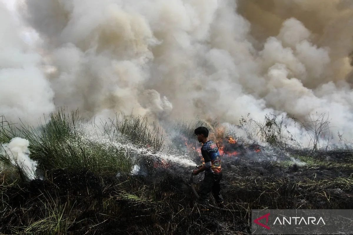 Indonesia’s Fire This Time