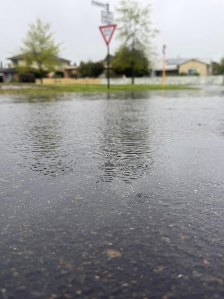 Dairy farm flooded, but grain growers rejoice as Victoria settles in for wet weekend