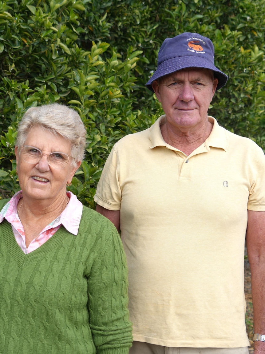 Australian citrus growers miss out on millions without US export markets