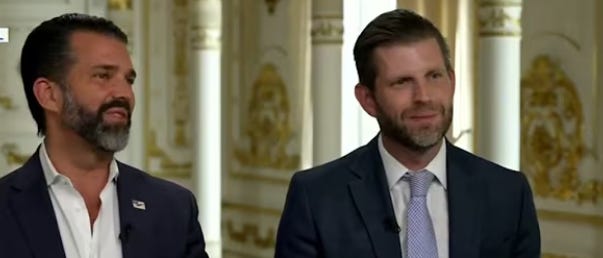 Democrats To Investigate Trump’s Sons Corrupt Defense Contracts