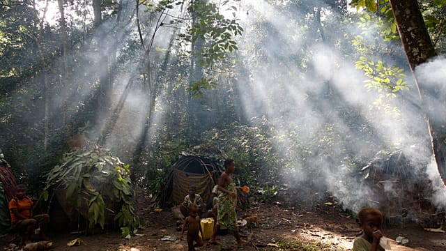 UN issues call to action on world’s vital dryland forests