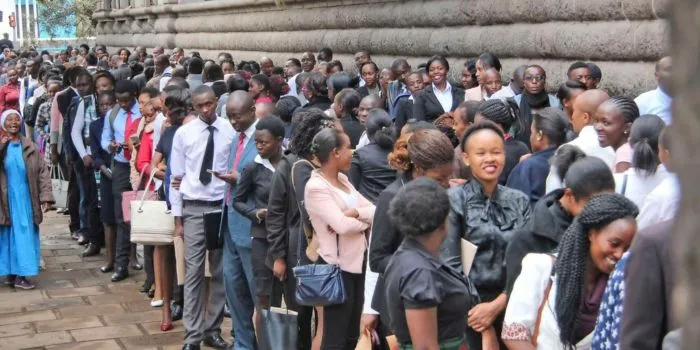 Thousands Risk Losing Jobs as Govt Announces Dissolution of Over 400 Companies