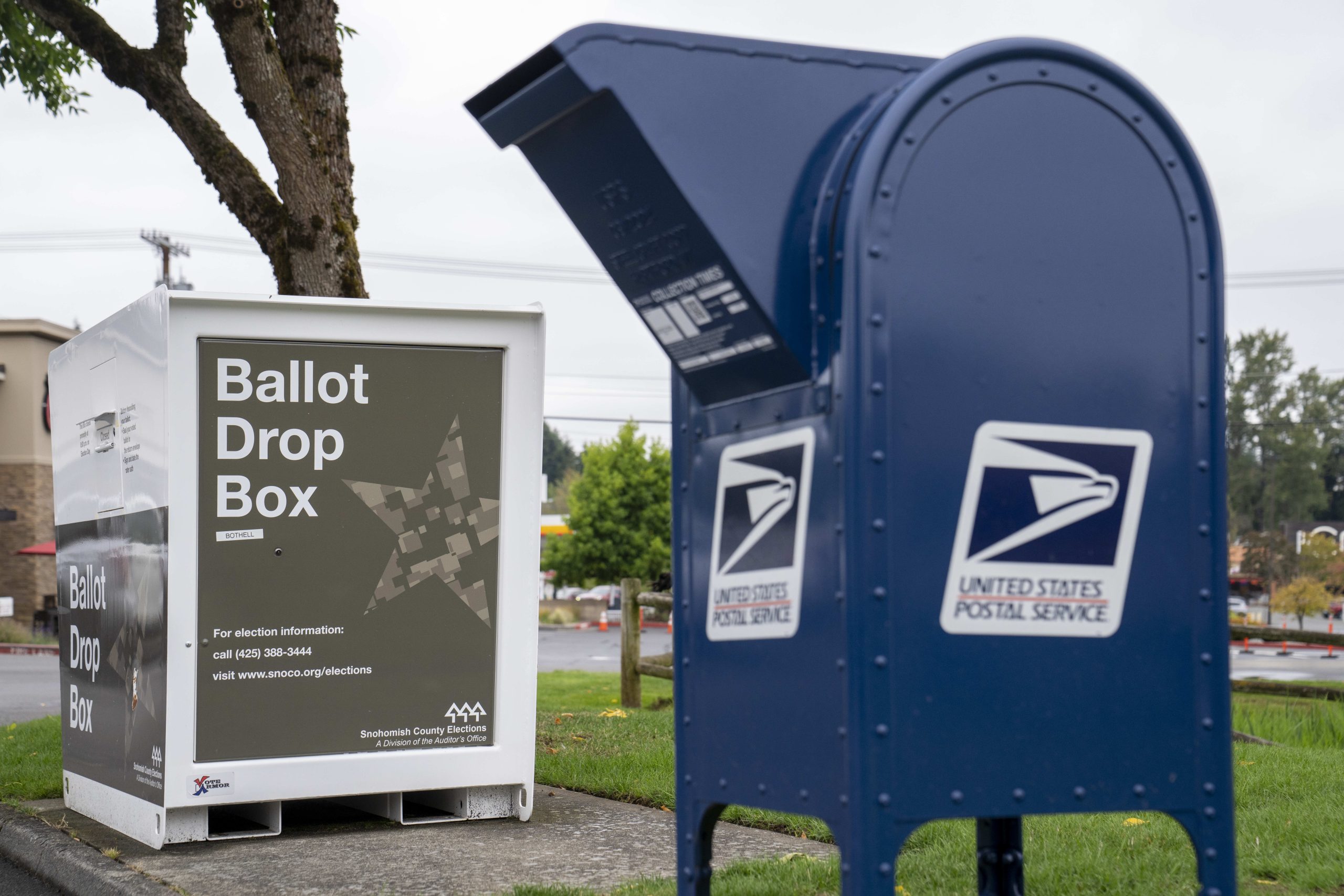 California’s Mail Ballot System Excludes Disabled Voters, Court Rules