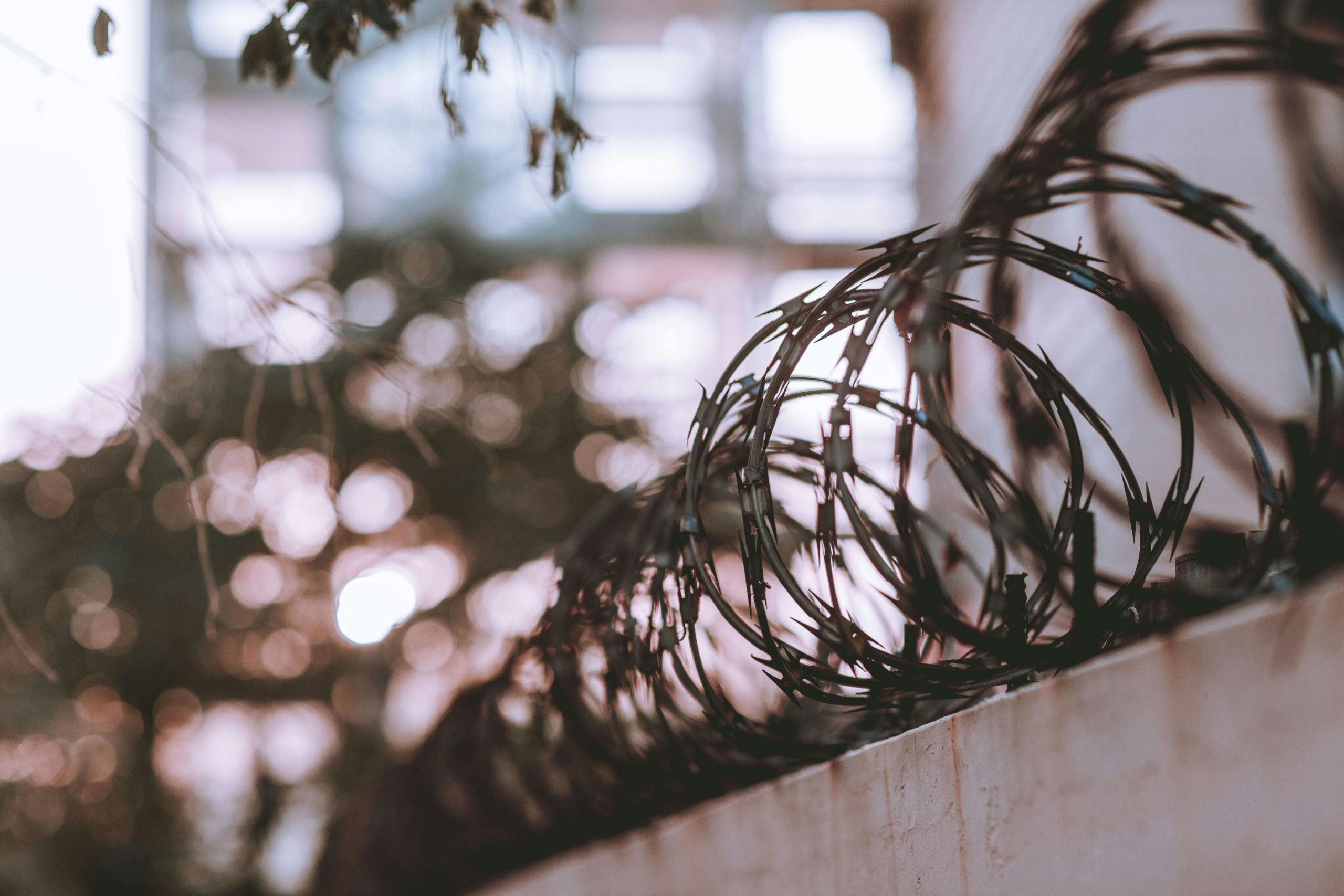 From local practice to EU policy: The power of investing in grassroots organisations and voices