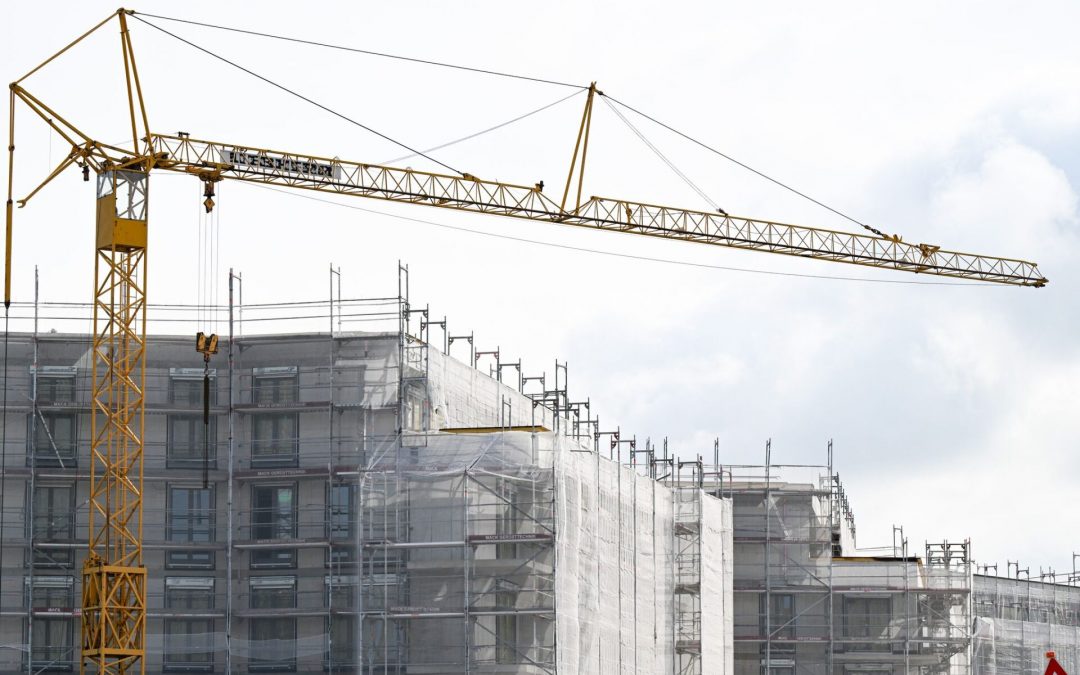 Curbs on rent rises and holiday lets can offer faster relief for tenants, says EU housing chair