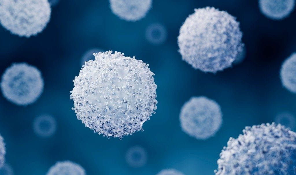 The First 24 Hours of A Viral Infection May Help Determine Its Outcome