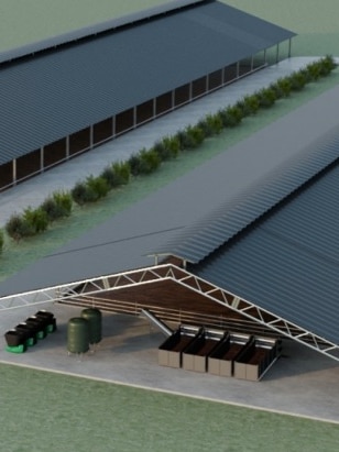 Automated feedlot proposal draws community ire in Victoria’s south-east