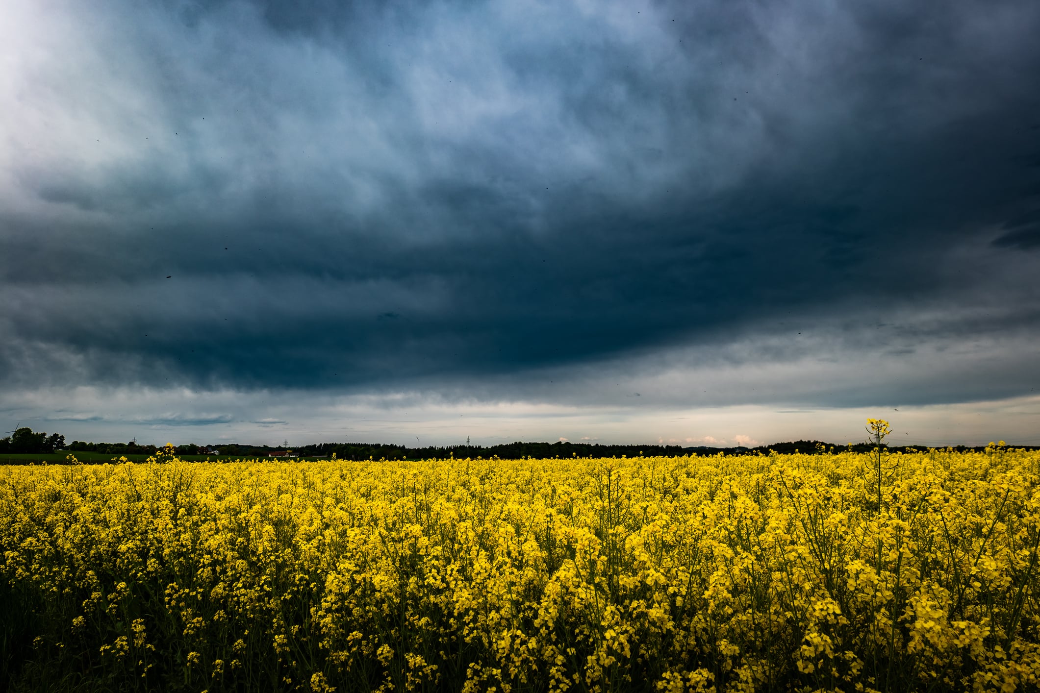 Which food commodities are threatened most by ‘Godzilla’ El Niño?
