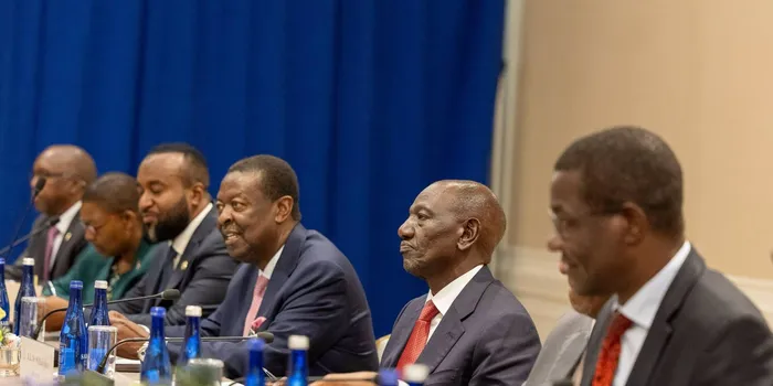 UN Official Makes Appeal to Ruto’s Govt Ahead of Global Summit in Nairobi