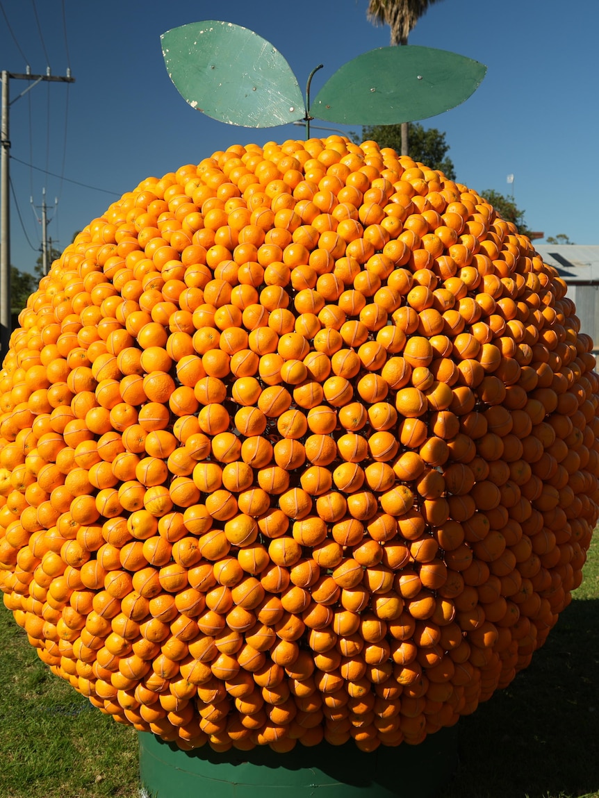 Sculptors see the fruit of their labour as oranges become art