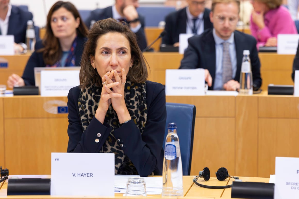 EU liberal chief urges conservatives to shun far right ahead of big election year