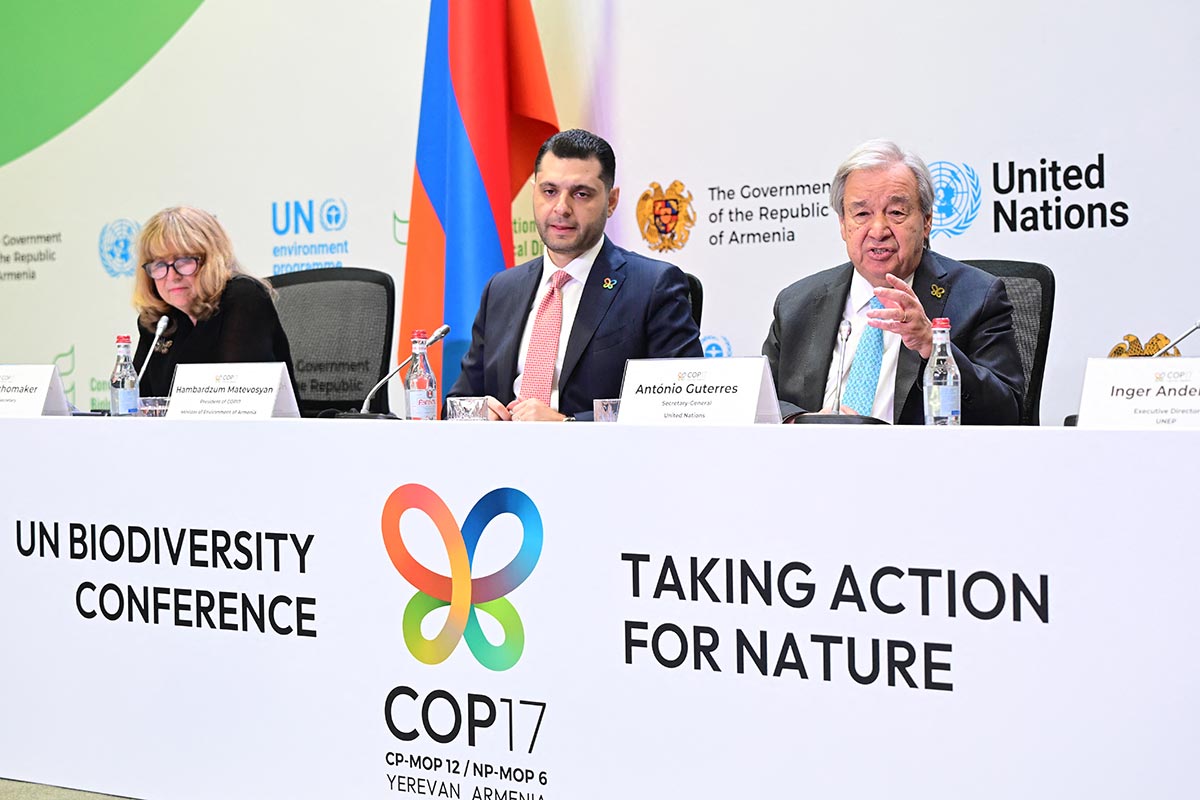 COP17: new wave of biodiversity legal challenges coming up