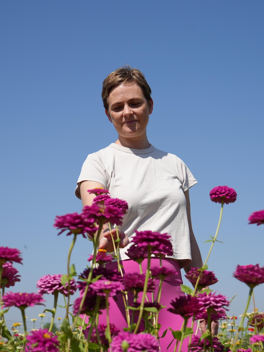 Small-scale florists hope to fill gap for romantics in Kununurra