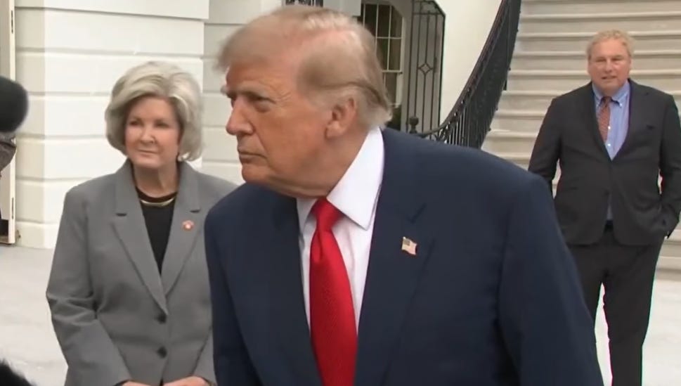 Republicans Are Crumbling And Pointing Fingers At Trump For Midterm Failure