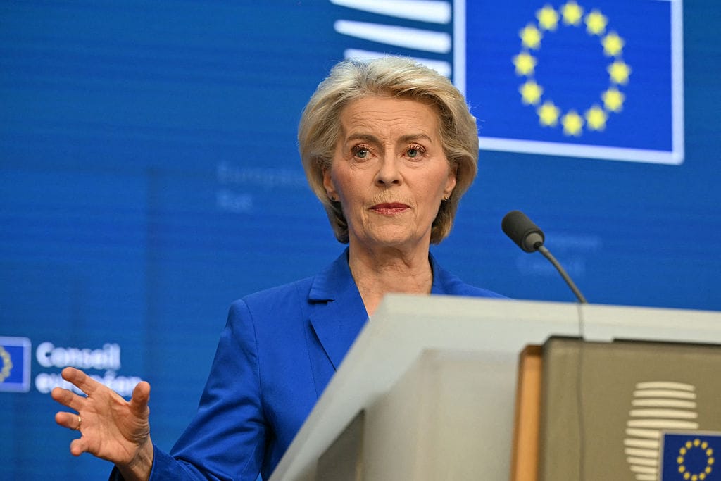 Von der Leyen’s coalition fractures over need for AI liability rules
