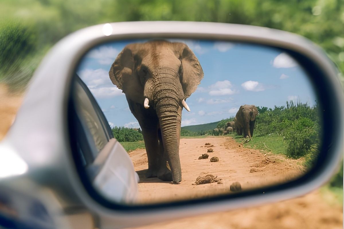 How long does it take to drive through Addo Elephant National Park?