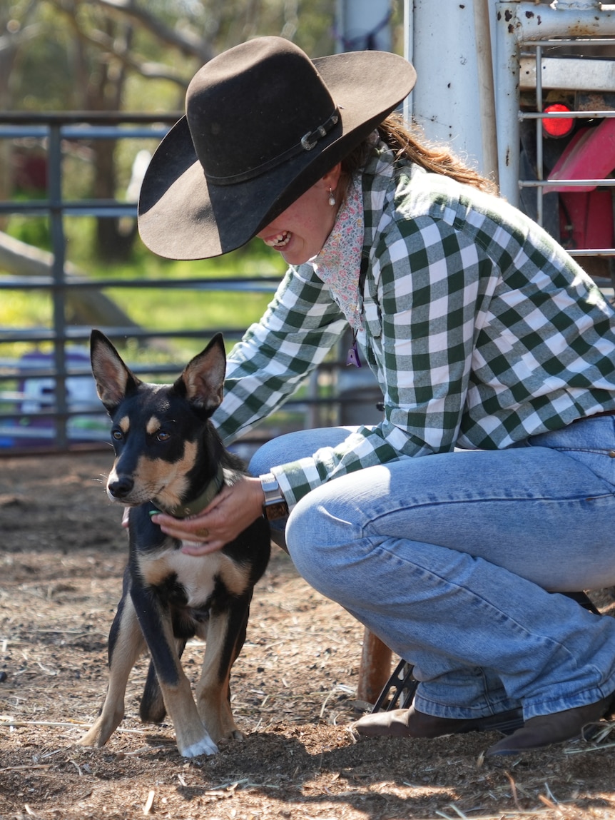 Farmers cross country for training tips from ABC Muster Dogs expert