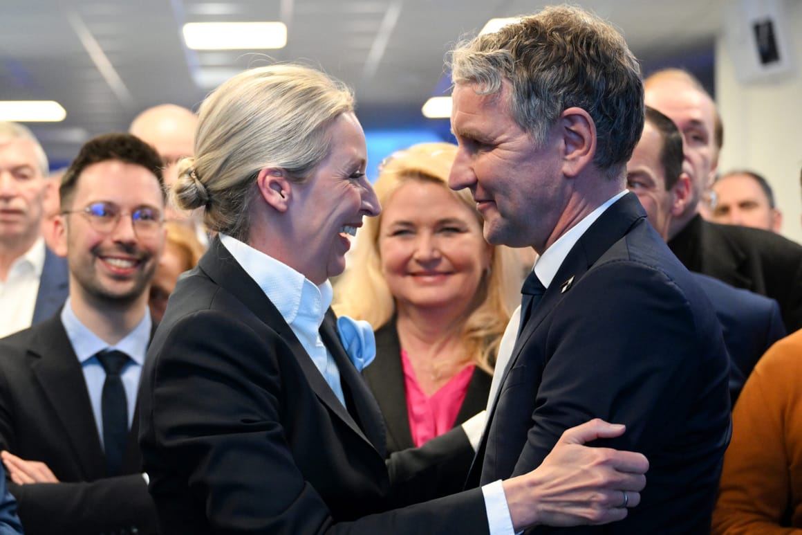Leaked emails show AfD co-leader’s U-turn on ‘explosive’ nationalist colleague