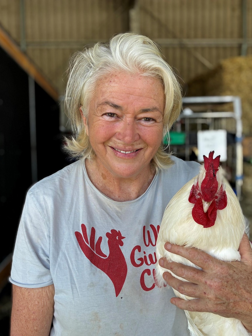 Charity helps thousands of caged hens find new homes