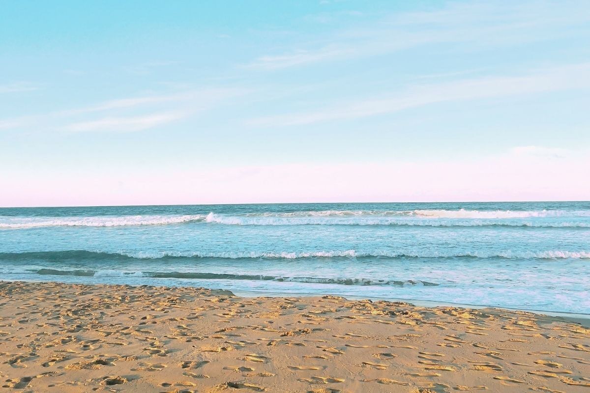 eThekwini Municipality opens two Durban beaches, but closes another